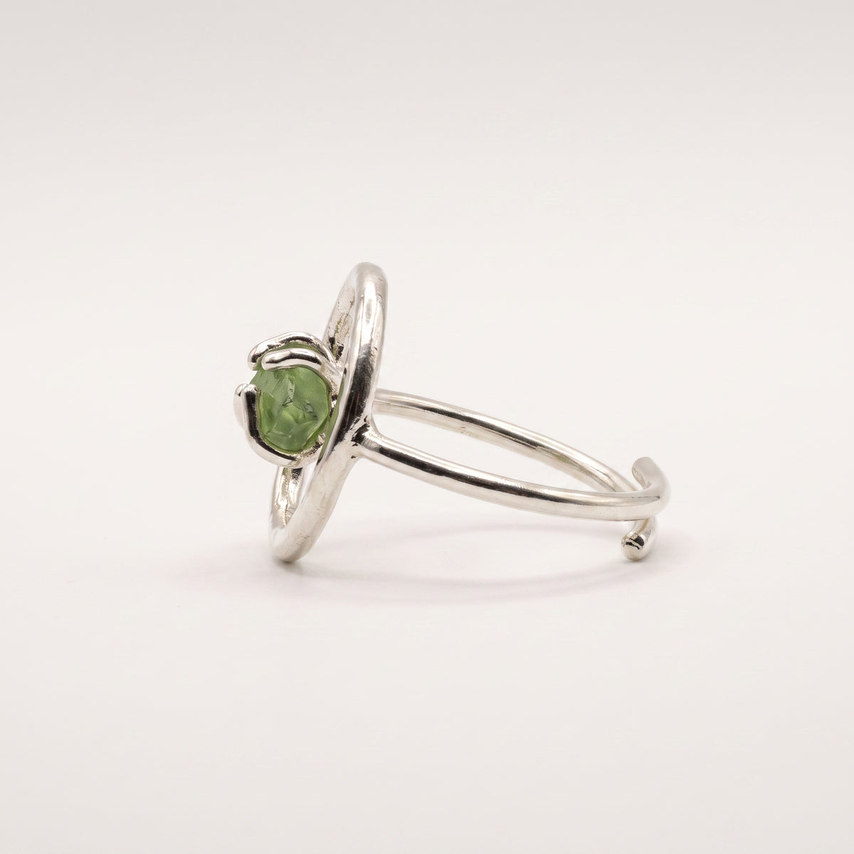 Anillo Órbita Marina