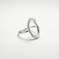 Anillo Raíz de Agua