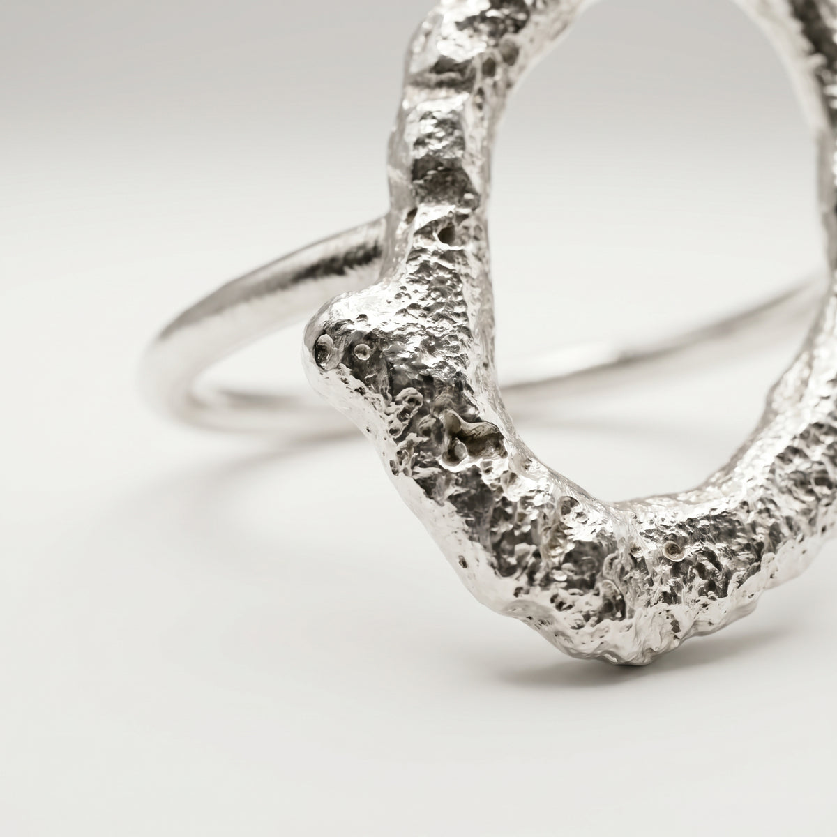 Anillo Raíz de Agua