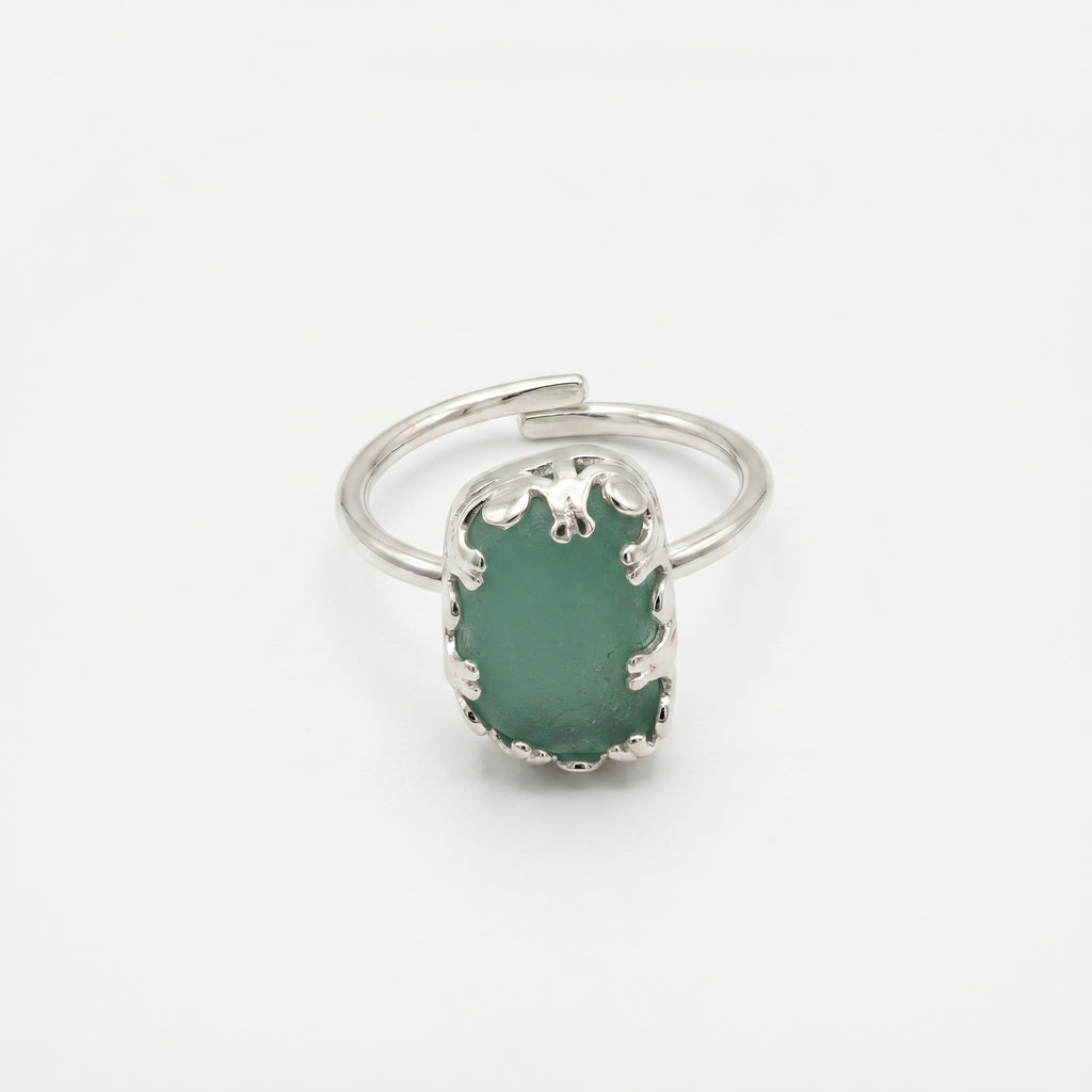 Anillo Oleaje