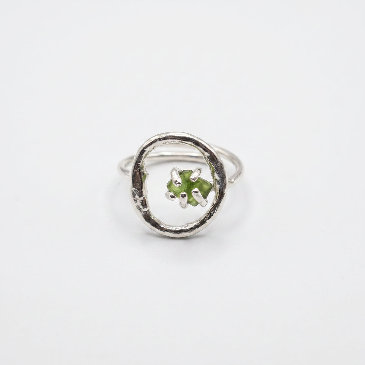 Anillo Órbita Marina