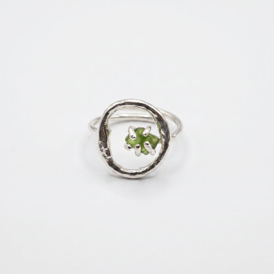 Anillo Órbita Marina