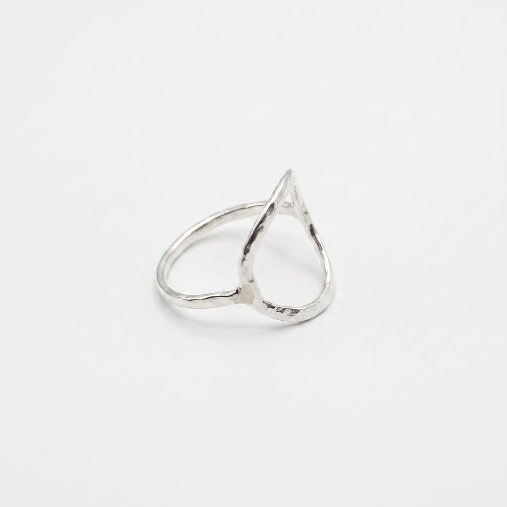 Anillo Cauce