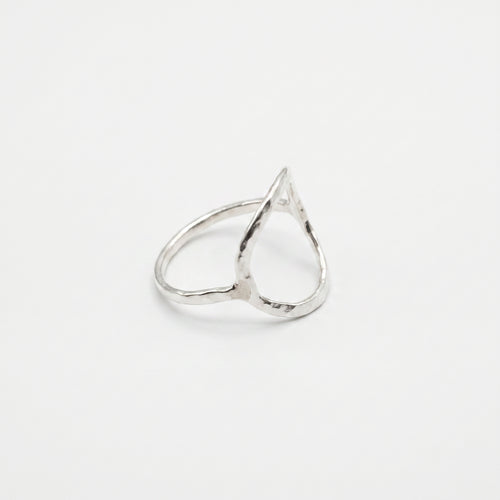 Anillo Cauce